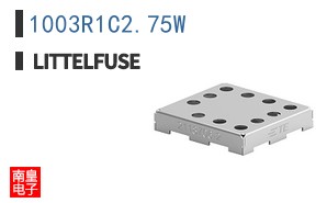 1003R1C2.75W