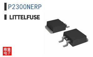 P2300NERP