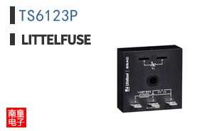 TS6123P